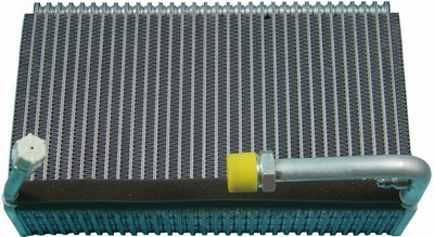 EV-A6134