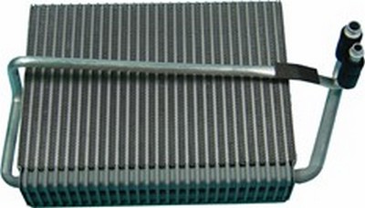 EV-21010
