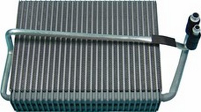 EV-21009