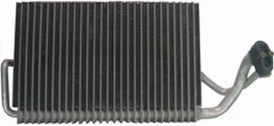 EV-21101