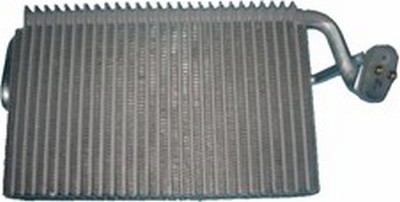 EV-21102
