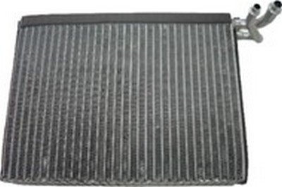 EV-16401