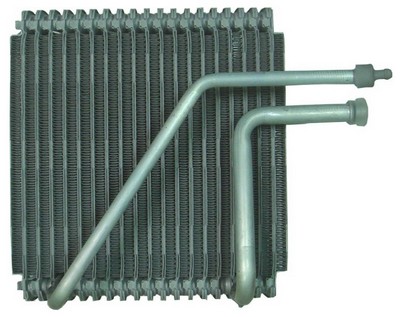 EV-WS101