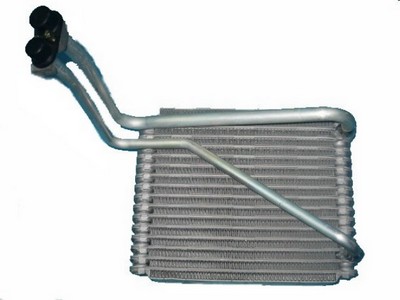 EV-WS102