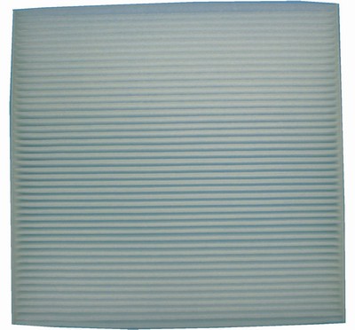 AF-HOD02