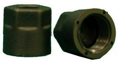 CAP-P301O